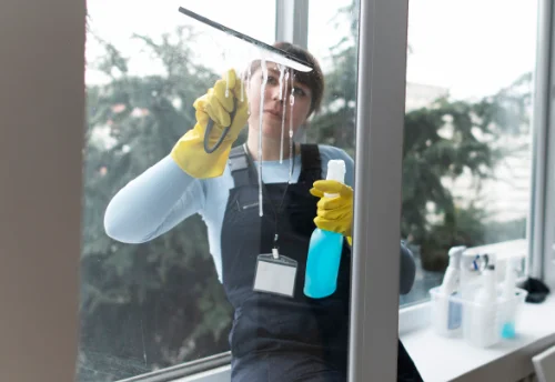 Nettoyage de vitres intérieures et extérieures à Bourrouillan